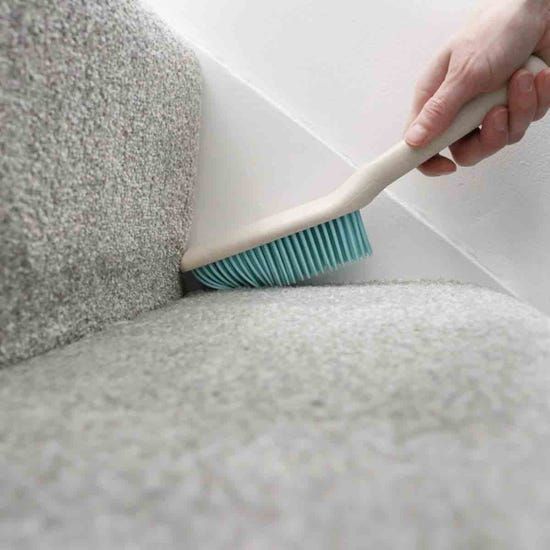 Carpet Cleaning Brush